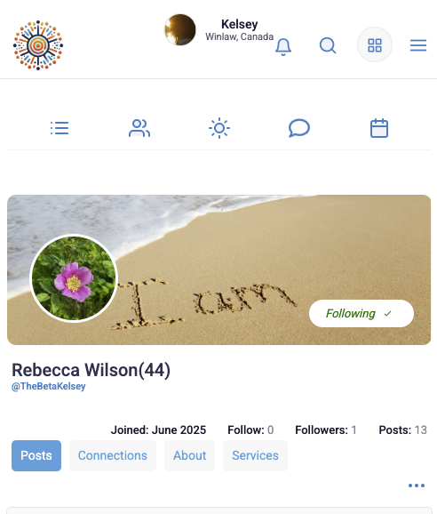 Profile preview